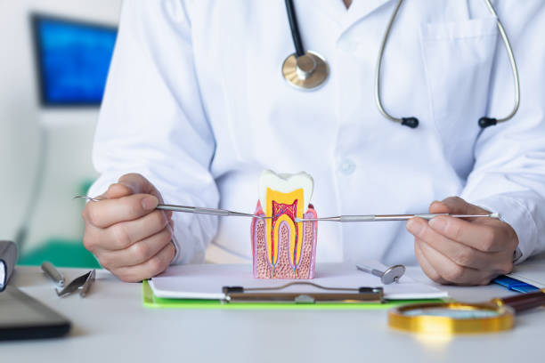 Best Emergency Tooth Extraction in Parole, MD